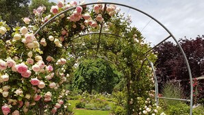 Ein Kiesweg führt unter einem Rosenbogen durch einen Garten.