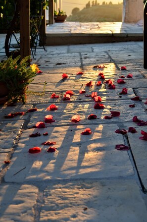 Stroll through a serene outdoor space, lined with a stone pathway and a potted plant, leading to a charming entrance.