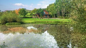 A house with a pond and surrounding greenery.