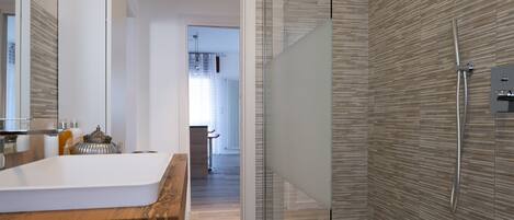 Regadera, secadora de cabello, bidet, toallas