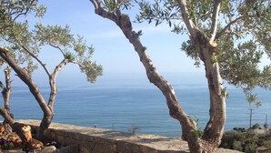 Paisaje costero con olivos, un muro de piedra y vistas al mar.