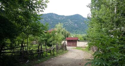 There are 4 bedrooms and 2 living rooms.