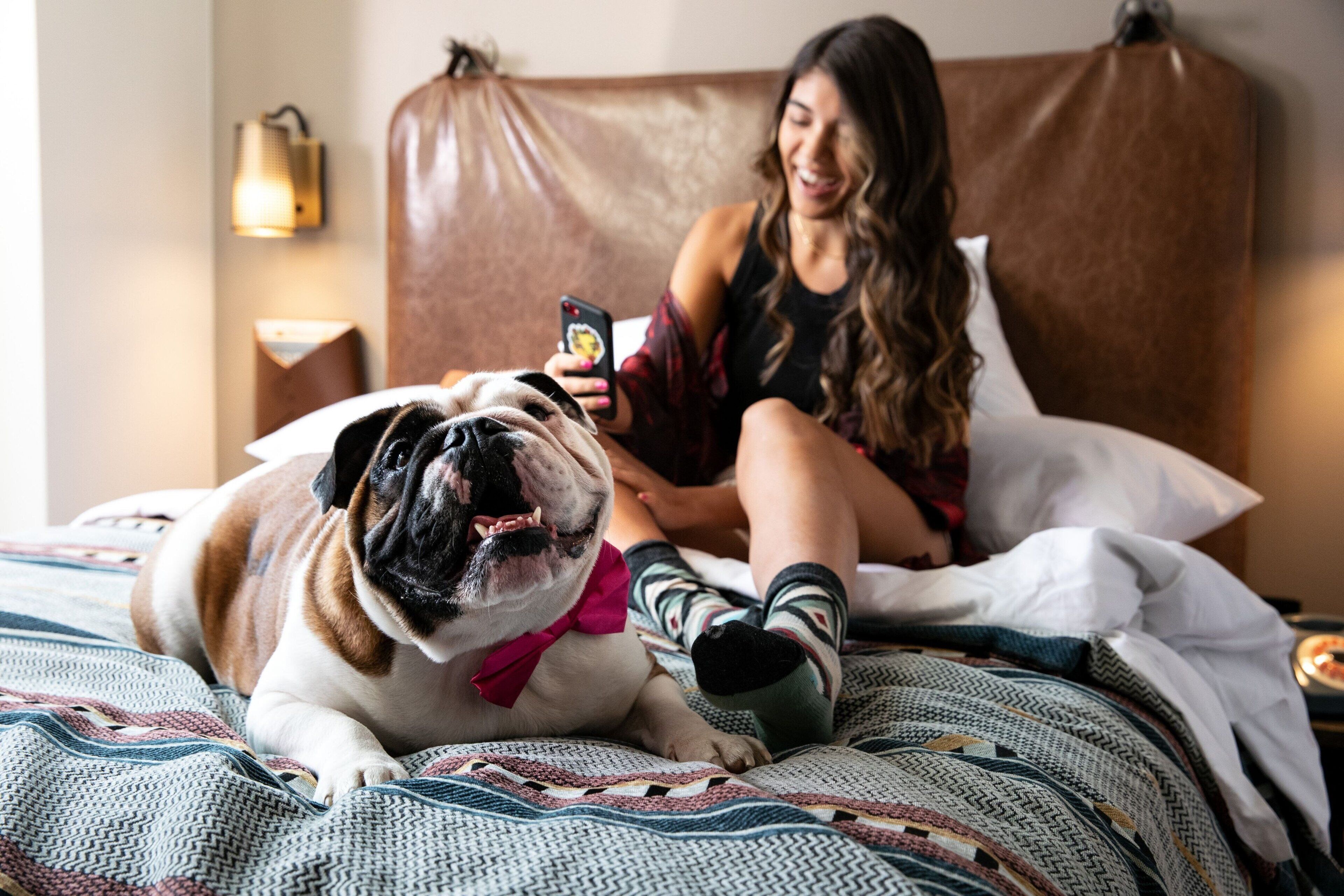 Una persona sentada en una cama con un perro, usando un teléfono inteligente.