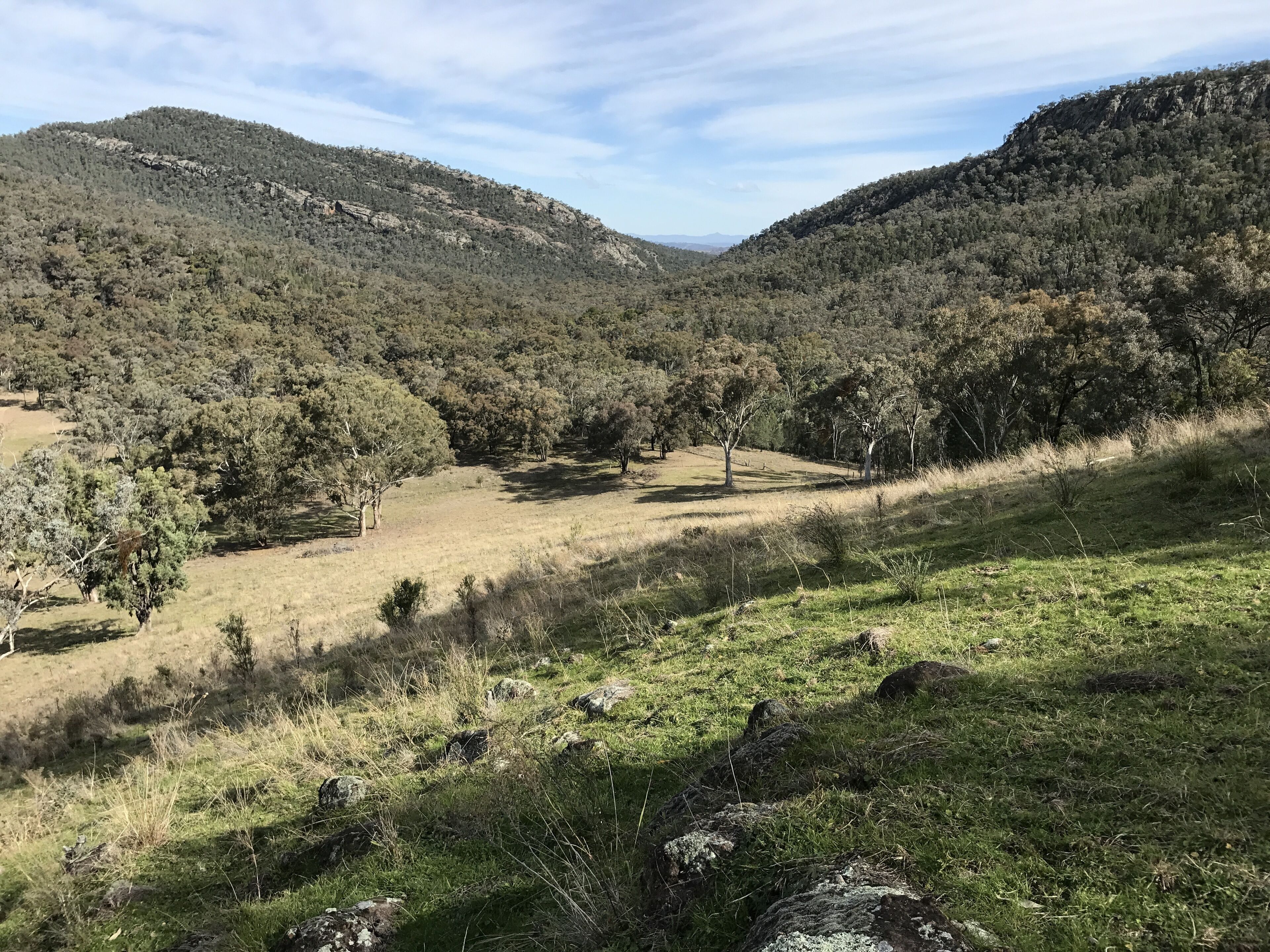 11 Best PetFriendly Cabins In And Near Tamworth, Australia Updated 2024 Trip101