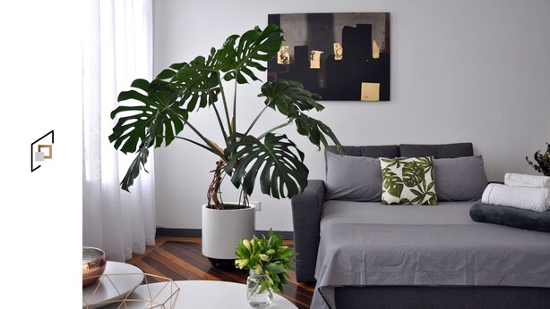 Een moderne woonkamer met een grijze bank, een grote pot met een monstera plant en een minimalistische salontafel.