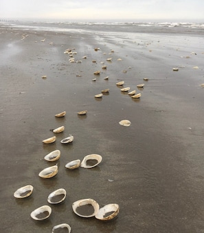 Plage, serviettes de plage