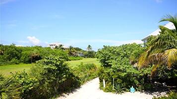 Vista dalla struttura