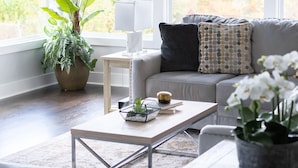 Ein modernes Wohnzimmer mit grauem Sofa, einem Couchtisch, einer Topfpflanze und Blick durch große Fenster.