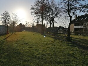 A grassy yard with trees and a building in the background.