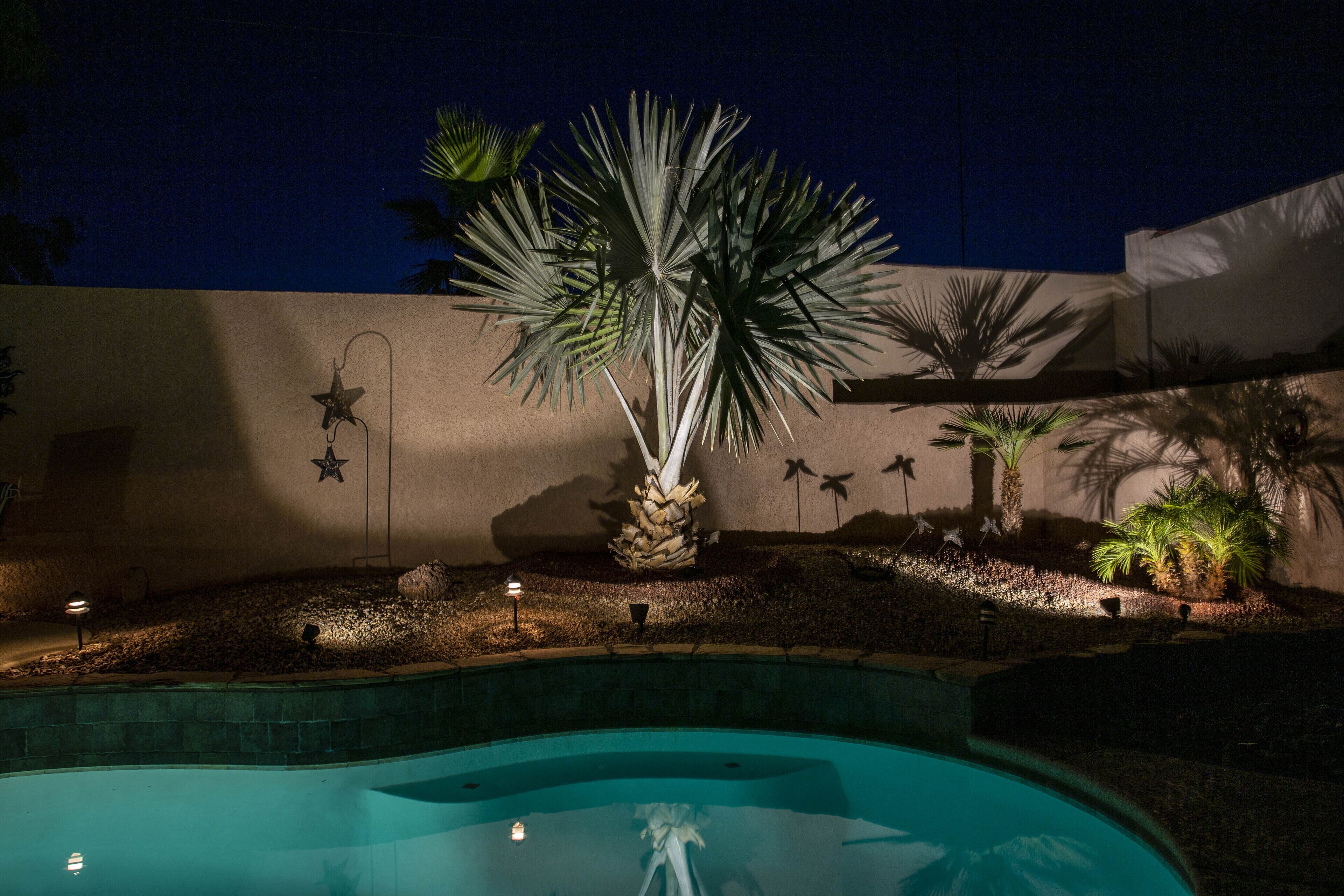 Una piscina rodeada de palmeras y luces decorativas en forma de estrella contra un cielo nocturno.