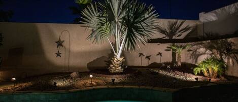 Una piscina rodeada de palmeras y luces decorativas en forma de estrella contra un cielo nocturno.