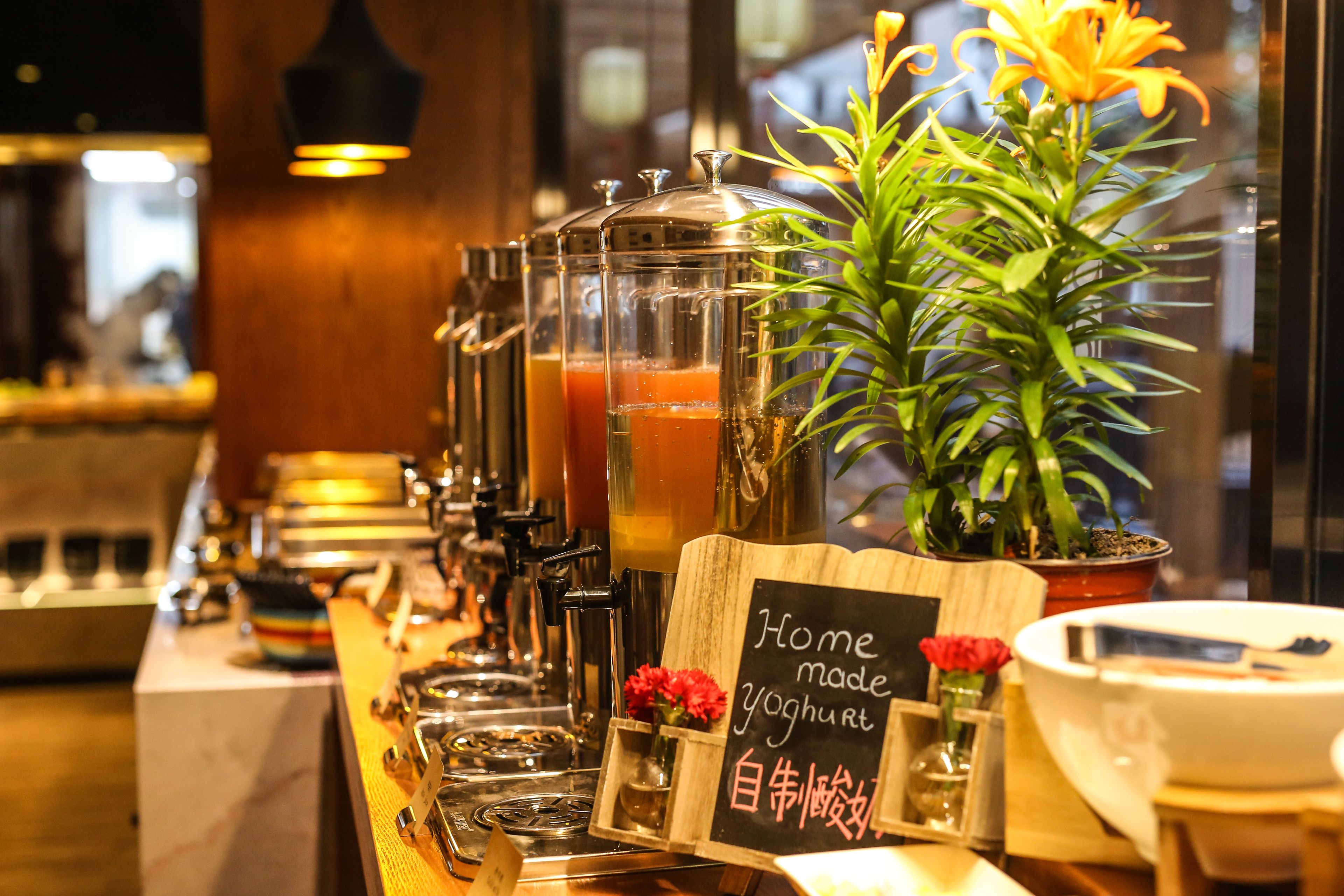 Un espace bar doté de plusieurs distributeurs de boissons, une pancarte indiquant « Yaourt fait maison » et une plante en pot.