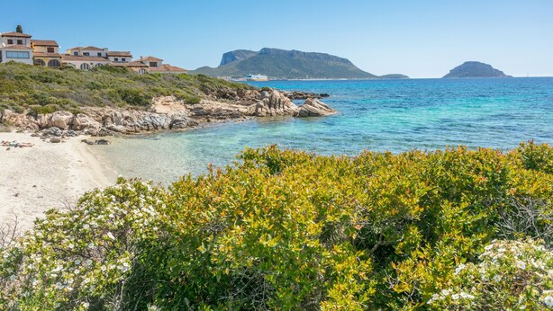 Ein Küstenanwesen mit Strand, felsiger Küstenlinie und Blick auf entfernte Berge.