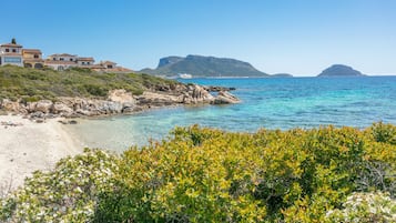 Playa en los alrededores