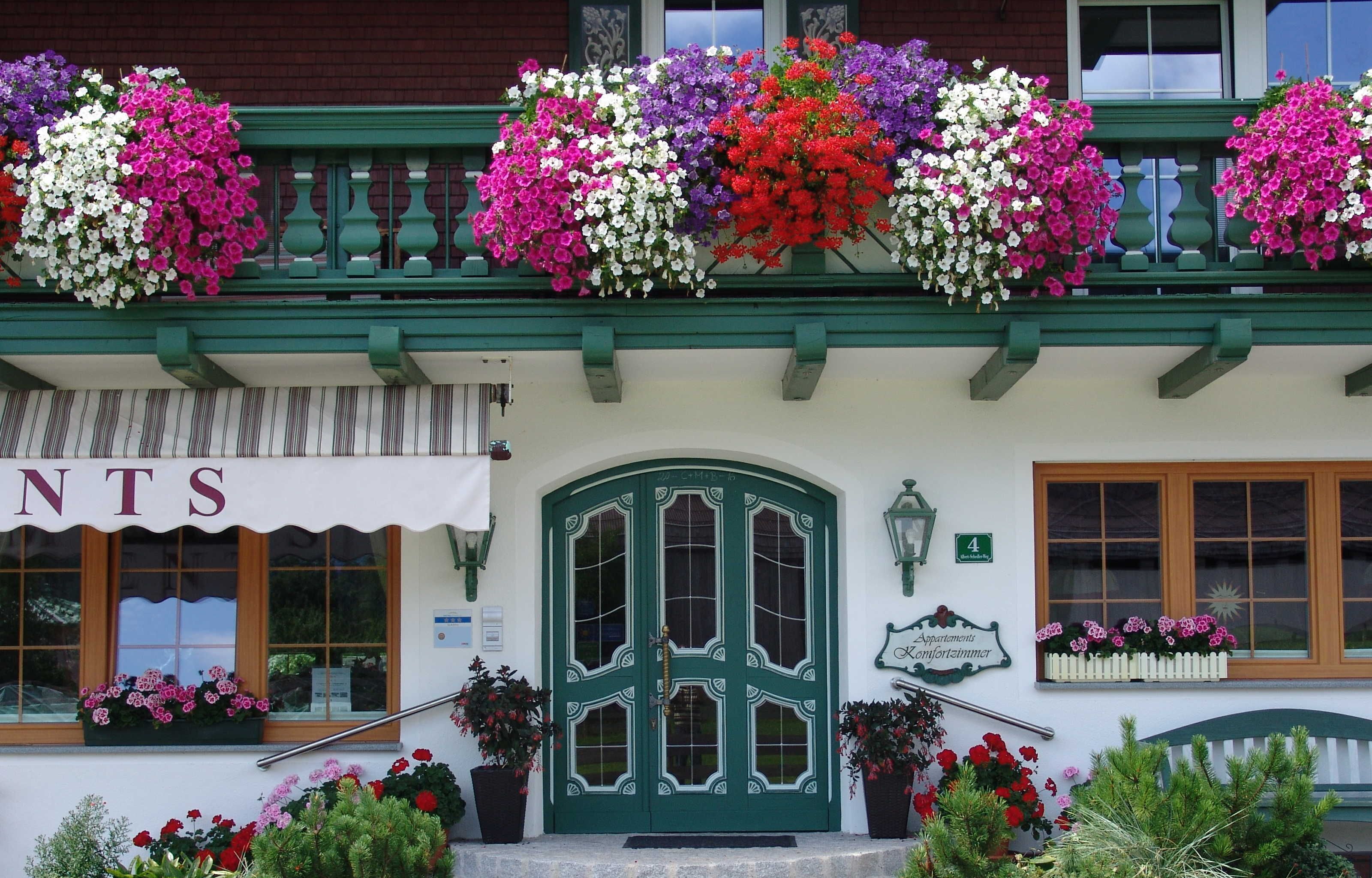Detalle exterior