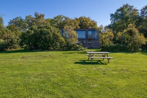 Unclassified image, 2 of 42, button