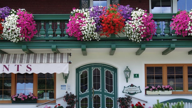 Un immeuble avec une porte verte, de nombreux jardinières ornées de différentes fleurs et une enseigne indiquant « Appartements Komfortzimmer ».