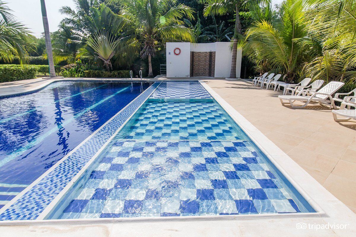 A swimming pool with a checkered pattern, surrounded by palm trees and lounge chairs.