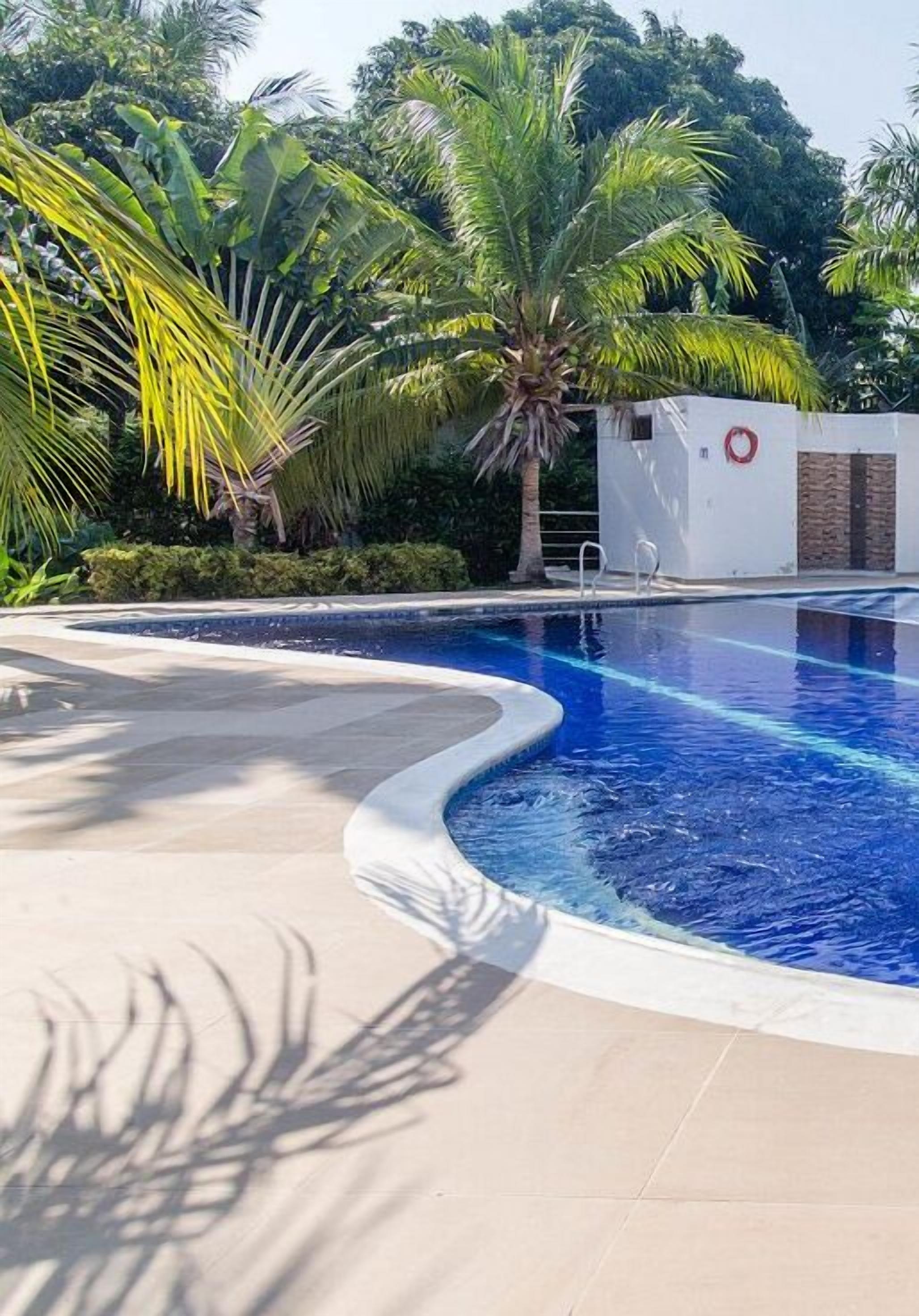 Piscina com borda curva, cercada por palmeiras e um prédio branco com um círculo vermelho.