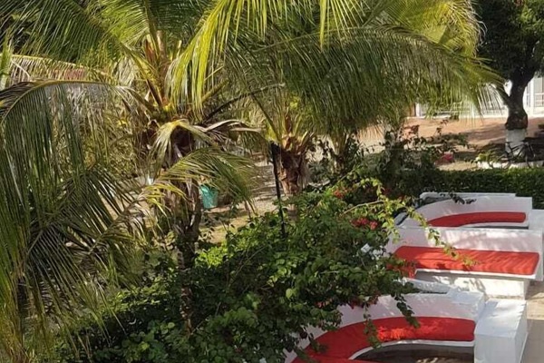 Outdoor pool, sun loungers
