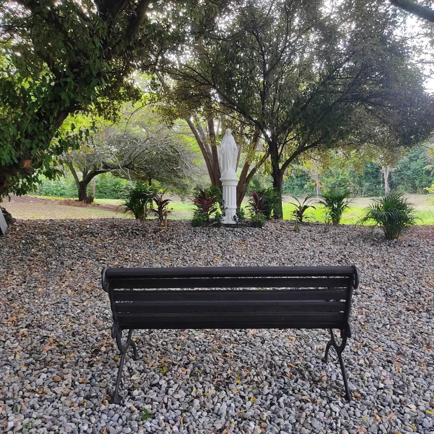 Un banco en un parque rodeado de árboles y grava.