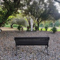 Un banco en un parque rodeado de árboles y grava.