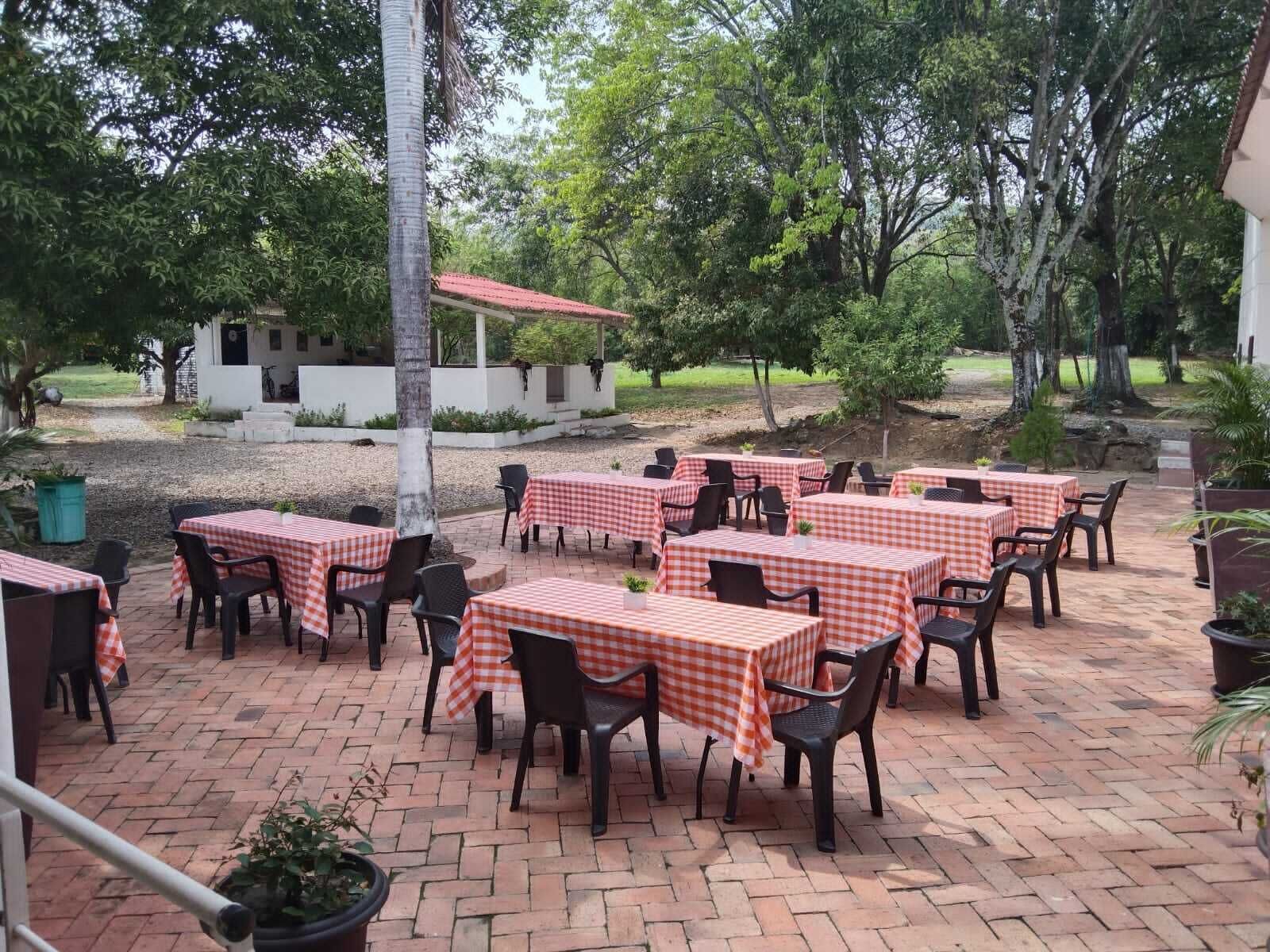 An outdoor patio with checkered tablecloths, black chairs, and potted plants.