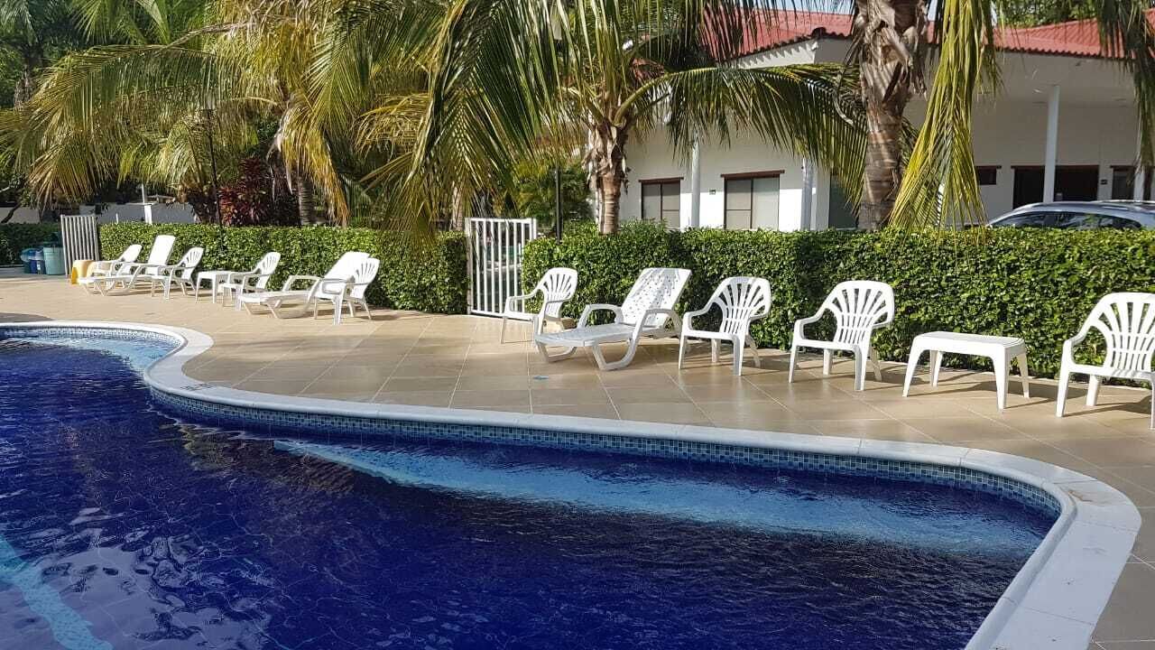 A swimming pool with white lounge chairs arranged around it, palm trees, and a building with a red roof in the background.