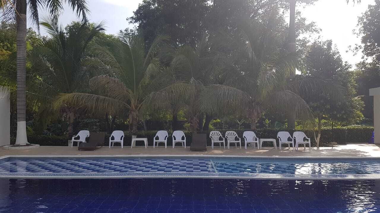 Une piscine entourée de chaises longues blanches et de palmiers en arrière-plan.
