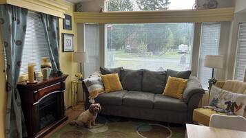 TV, fireplace, DVD player, books