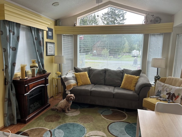 TV, fireplace, DVD player, books