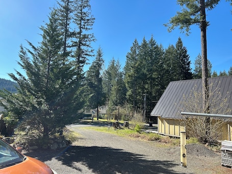 Property grounds. Mountain Frog Cabin - A.C./Sleeps 2/Hot Tub - 30 min. from Rainier/Skiing