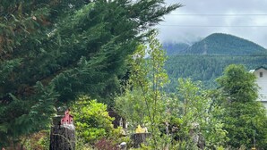 Un sendero de grava serpentea a través de un jardín con follaje exuberante y un pequeño comedero para pájaros.