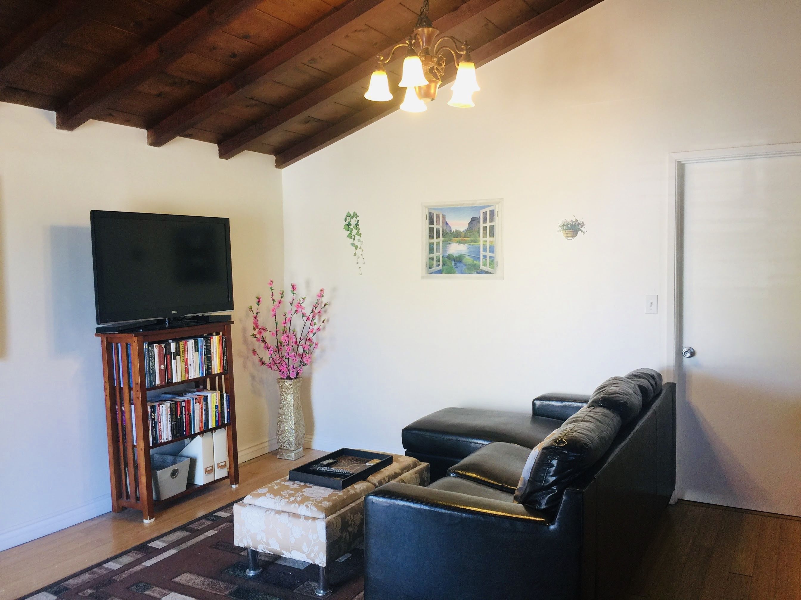 LCD TV, Netflix, DVD player