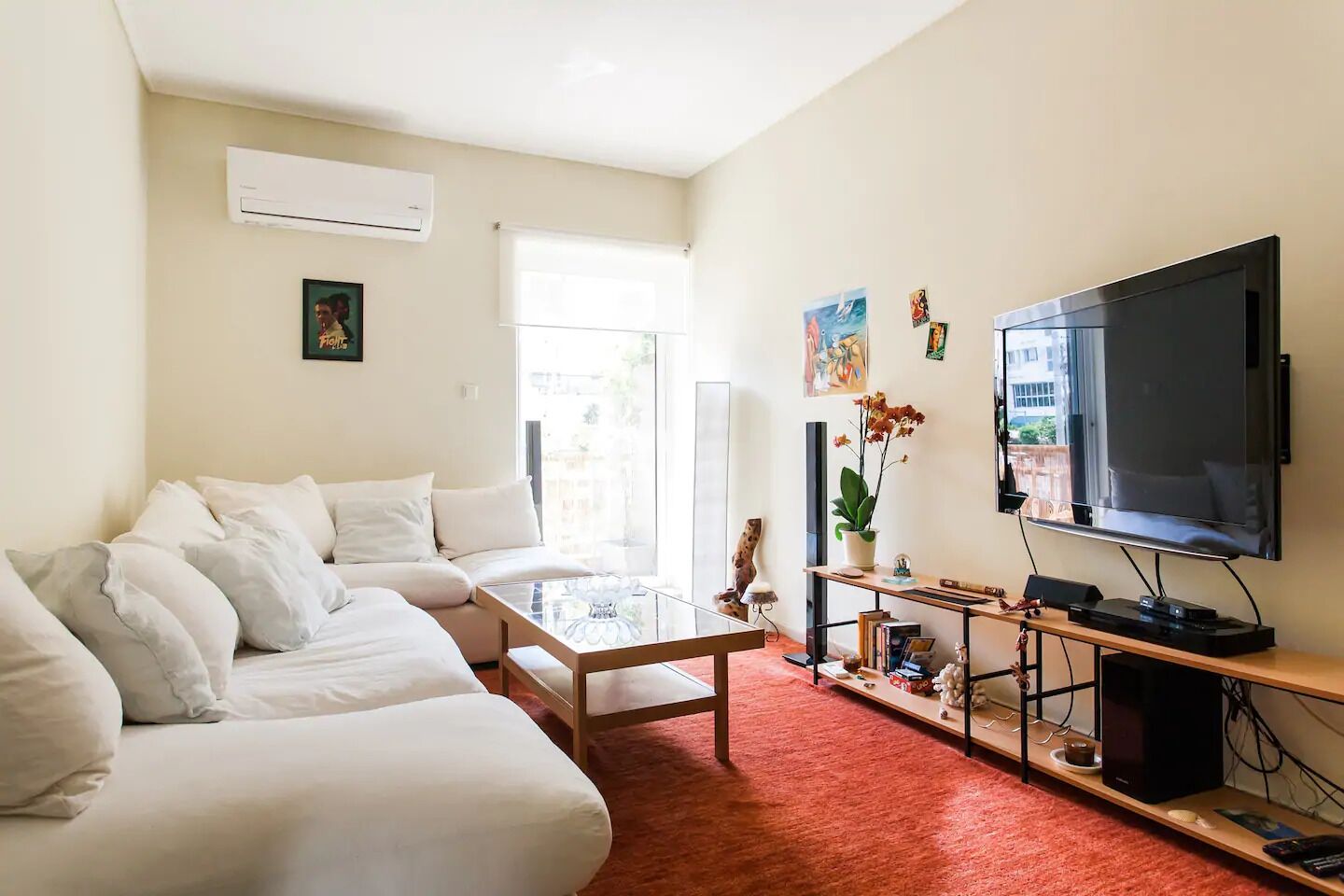 TV, DVD player, books, video library