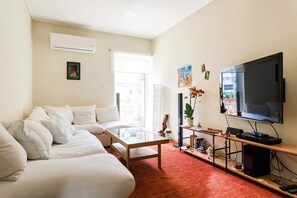 TV, DVD player, books, video library