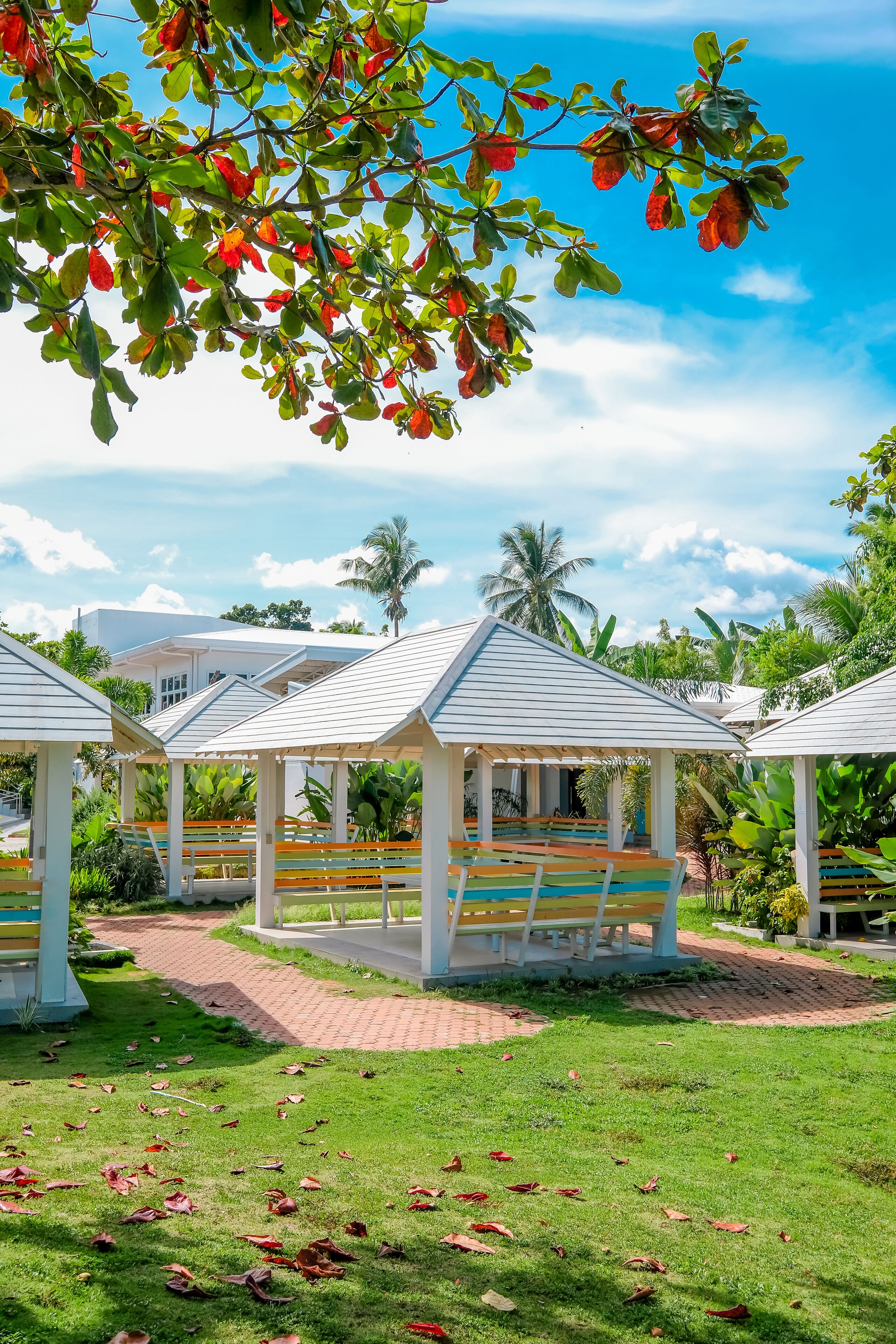 A gazebo with benches, surrounded by a grassy area with scattered leaves, under a clear sky.