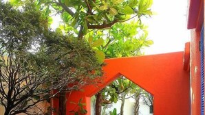 الفناء