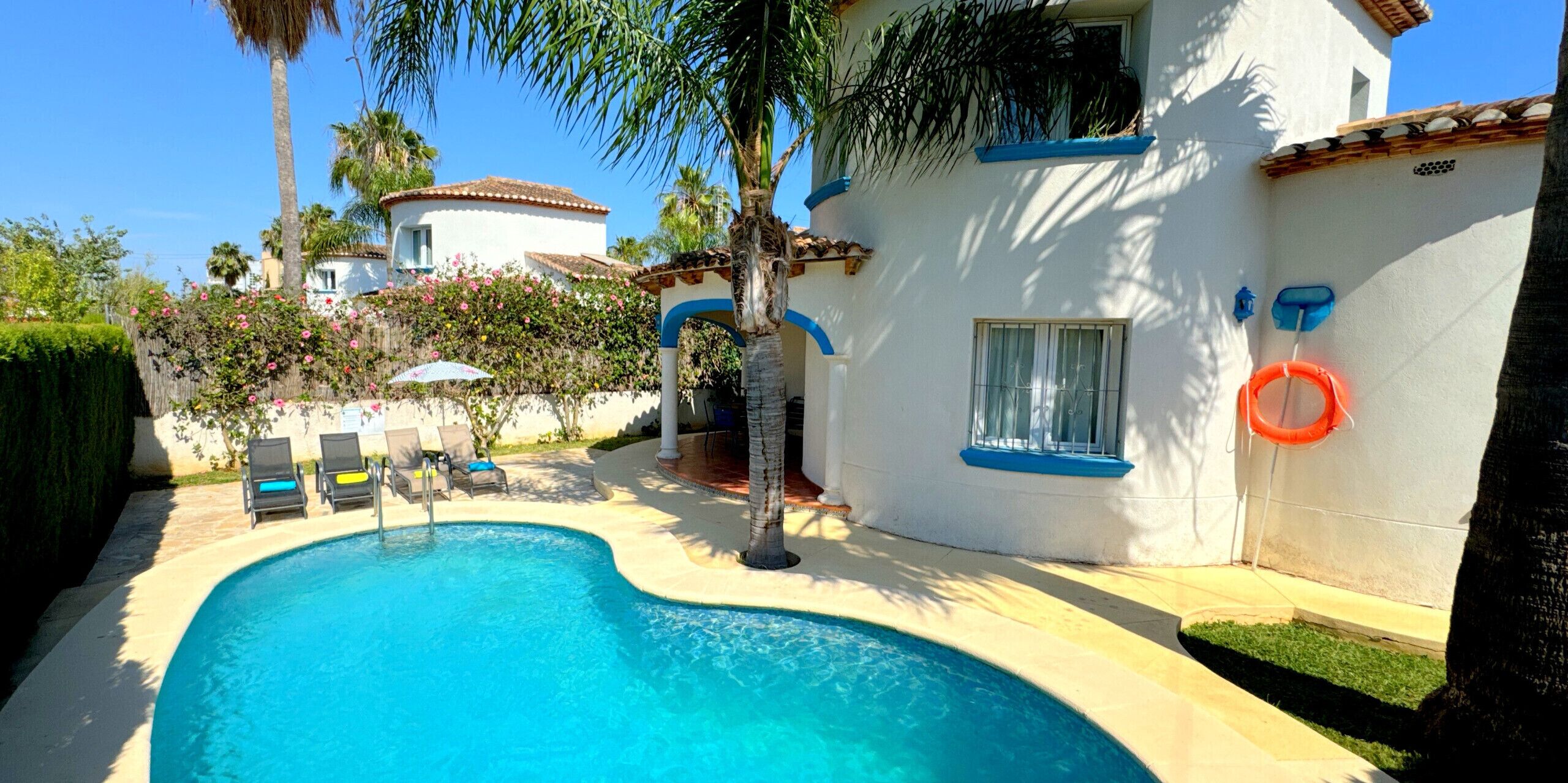 A swimming pool with lounge chairs, a palm tree, and a white building with blue trim.
