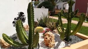 A cactus garden with various types of cacti and succulents, surrounded by white pebbles and a few decorative rocks.