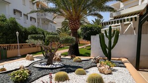 A landscaped garden with a palm tree, various cacti, and a rock centerpiece. - 0770 ap. Talima 1 bedroom (Denia)