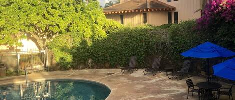 A backyard with a swimming pool, patio furniture, and a house.