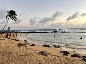 Beach nearby, sun-loungers, beach towels