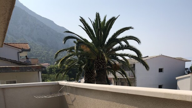 Un balcone con sedie in vimini, un tavolino e una pianta in vaso.