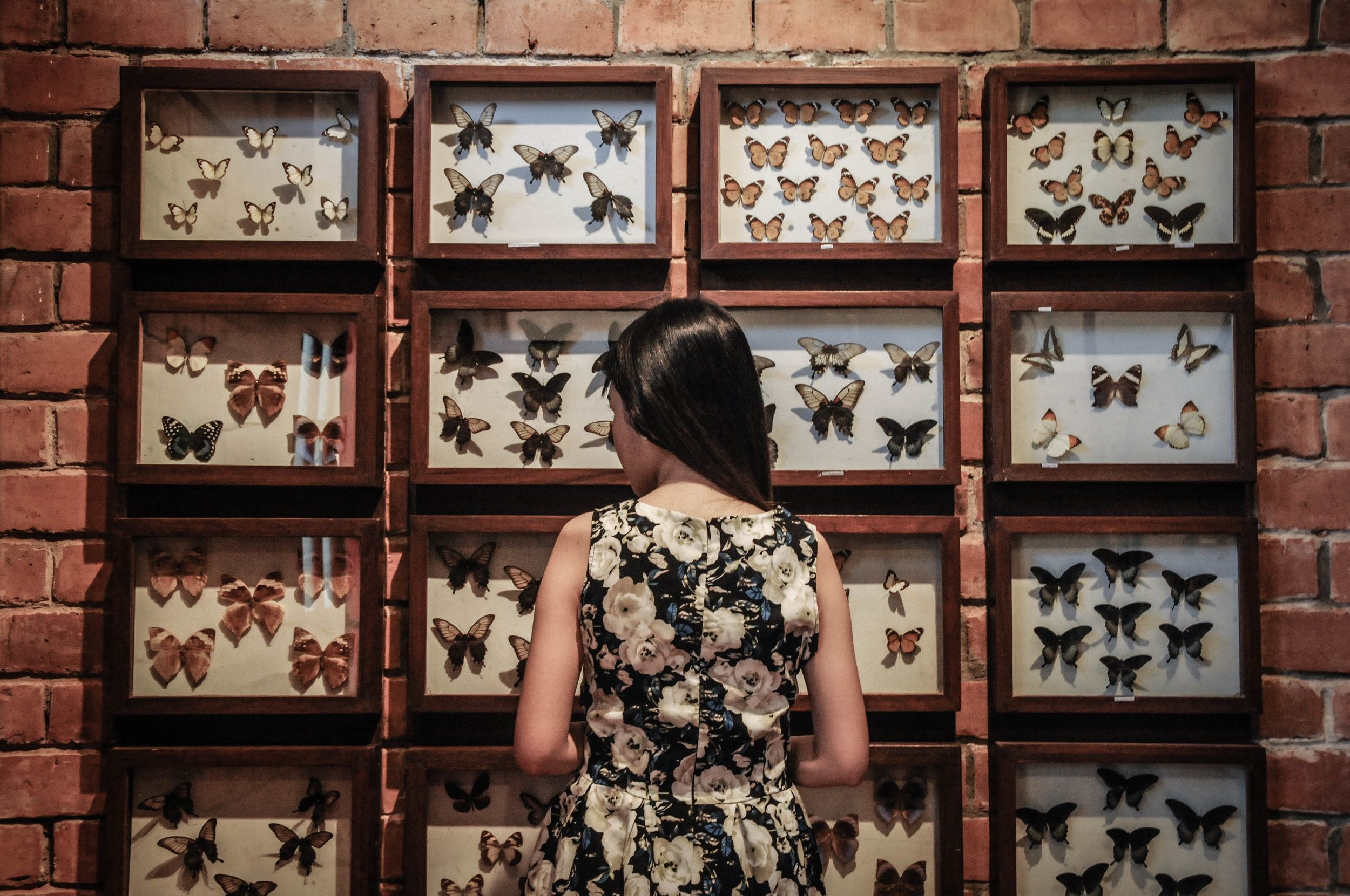 Foto - Malagos Garden Resort