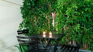 Un patio al aire libre con mesa y sillas, rodeado de abundante follaje verde.