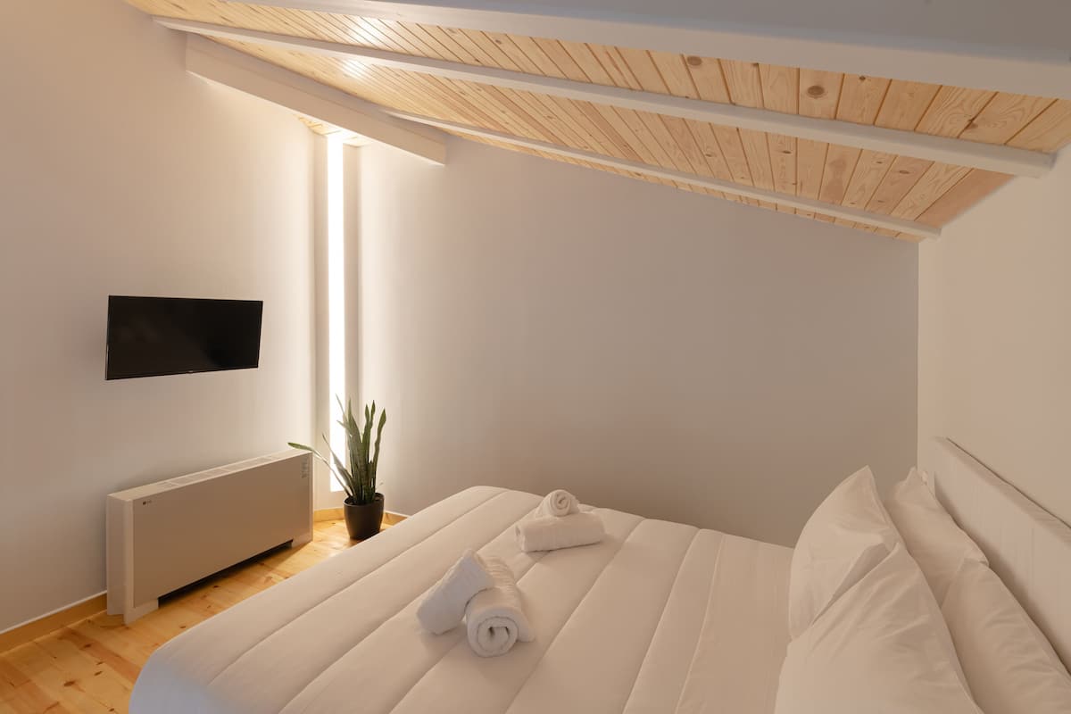 Un dormitorio moderno con cama, televisor de pantalla plana, radiador y planta en maceta.
