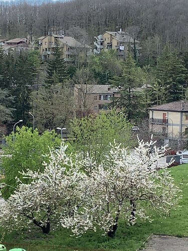 Cozy Home in Monte Amiata