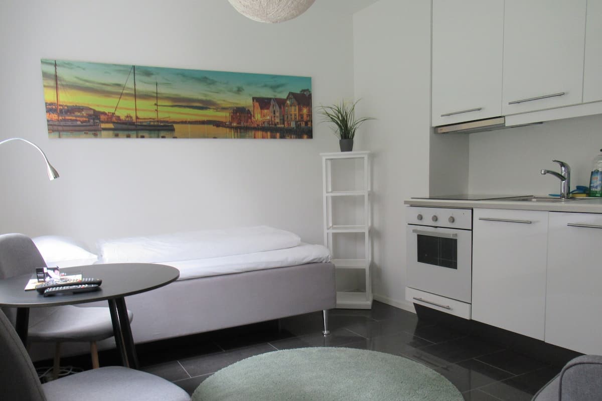 Studio | Living area | 42-inch flat-screen TV with satellite channels, TV