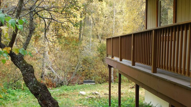 A wooden deck with a railing overlooking a forested area.